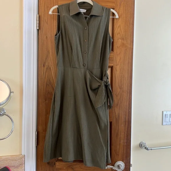 green emerald velvet dress Calvin Klein Womens Petites Crepe Boat Neck Sheath Dress Green 2P at Amazon  Women's Clothing store main image 1